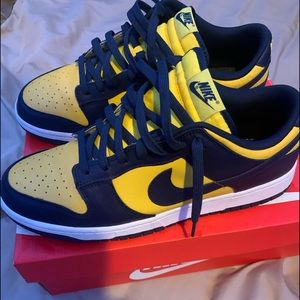 Nike Dunk Michigan (low)